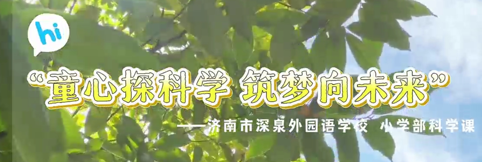 CC网投·(中国游)官方网站