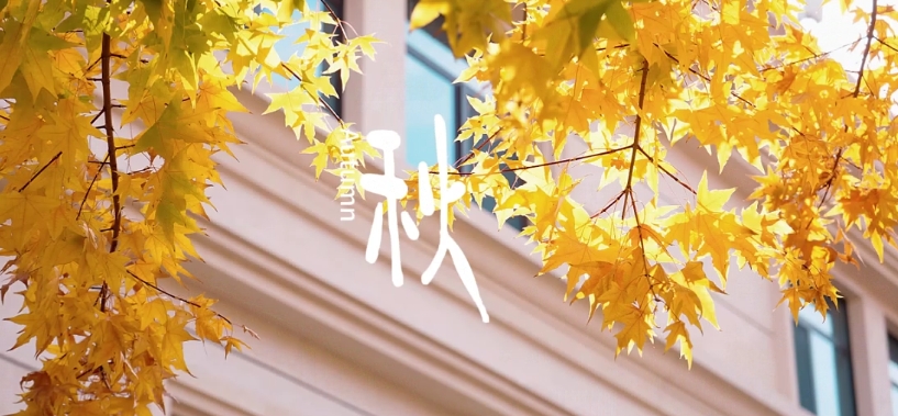 CC网投·(中国游)官方网站