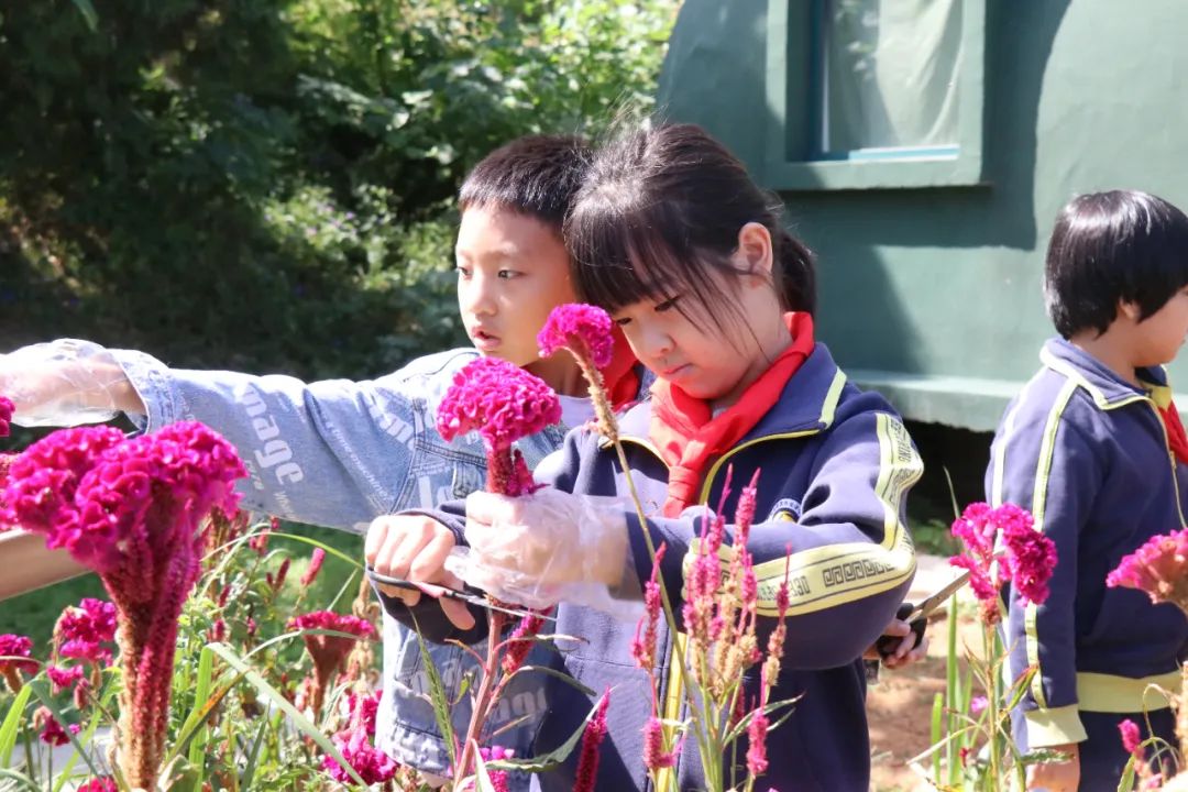 CC网投·(中国游)官方网站