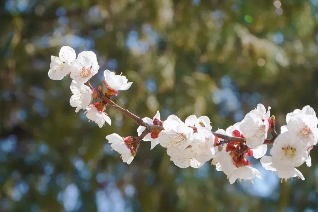 CC网投·(中国游)官方网站