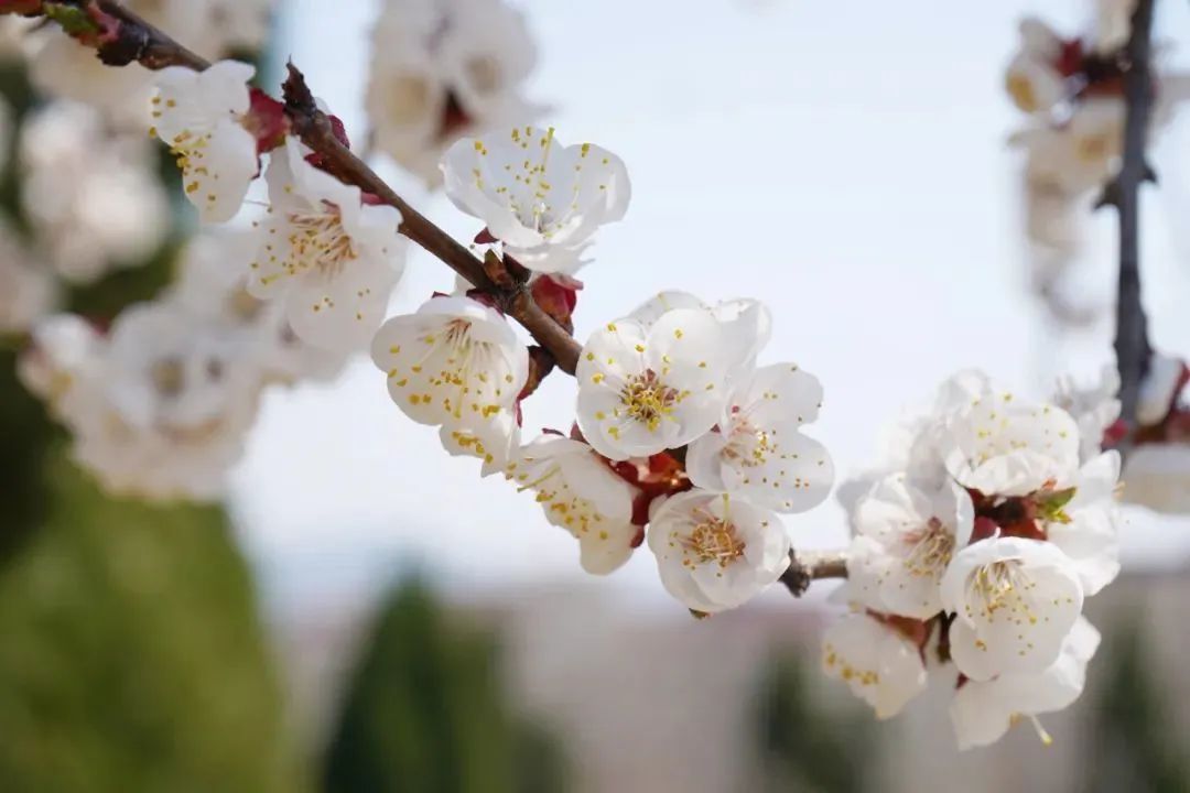 CC网投·(中国游)官方网站