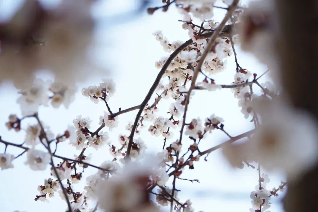 CC网投·(中国游)官方网站