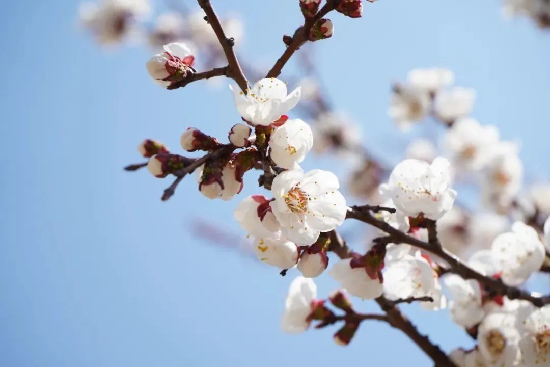 CC网投·(中国游)官方网站