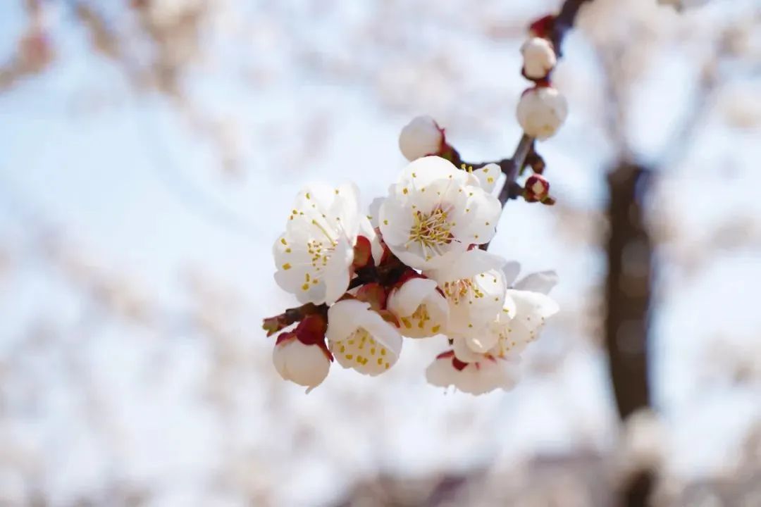 CC网投·(中国游)官方网站