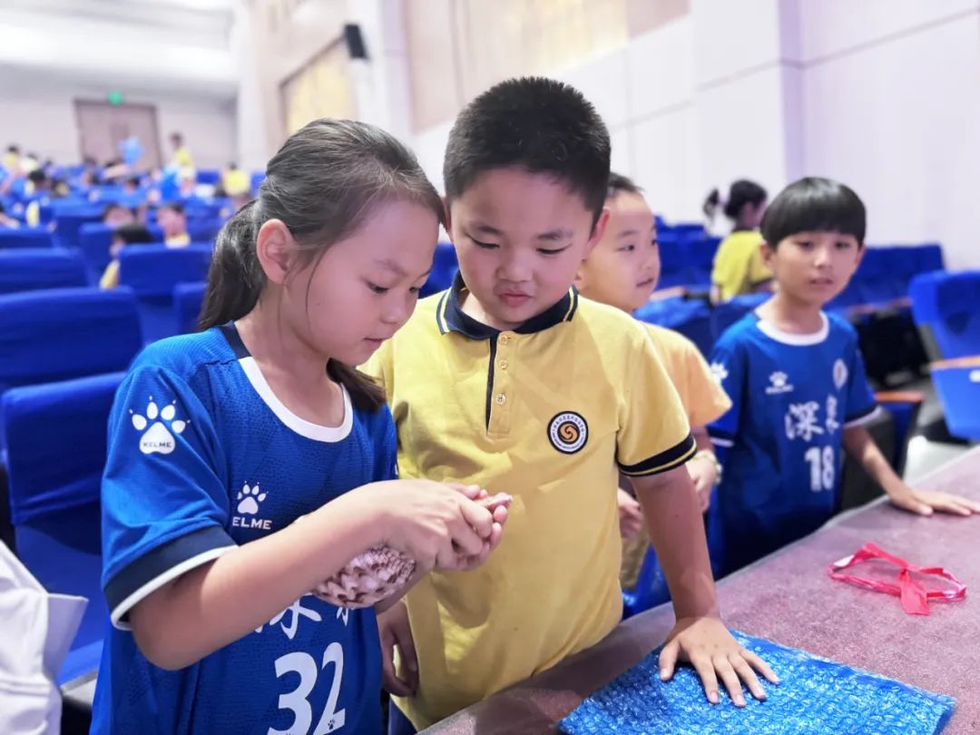 CC网投·(中国游)官方网站