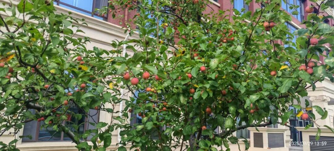 CC网投·(中国游)官方网站