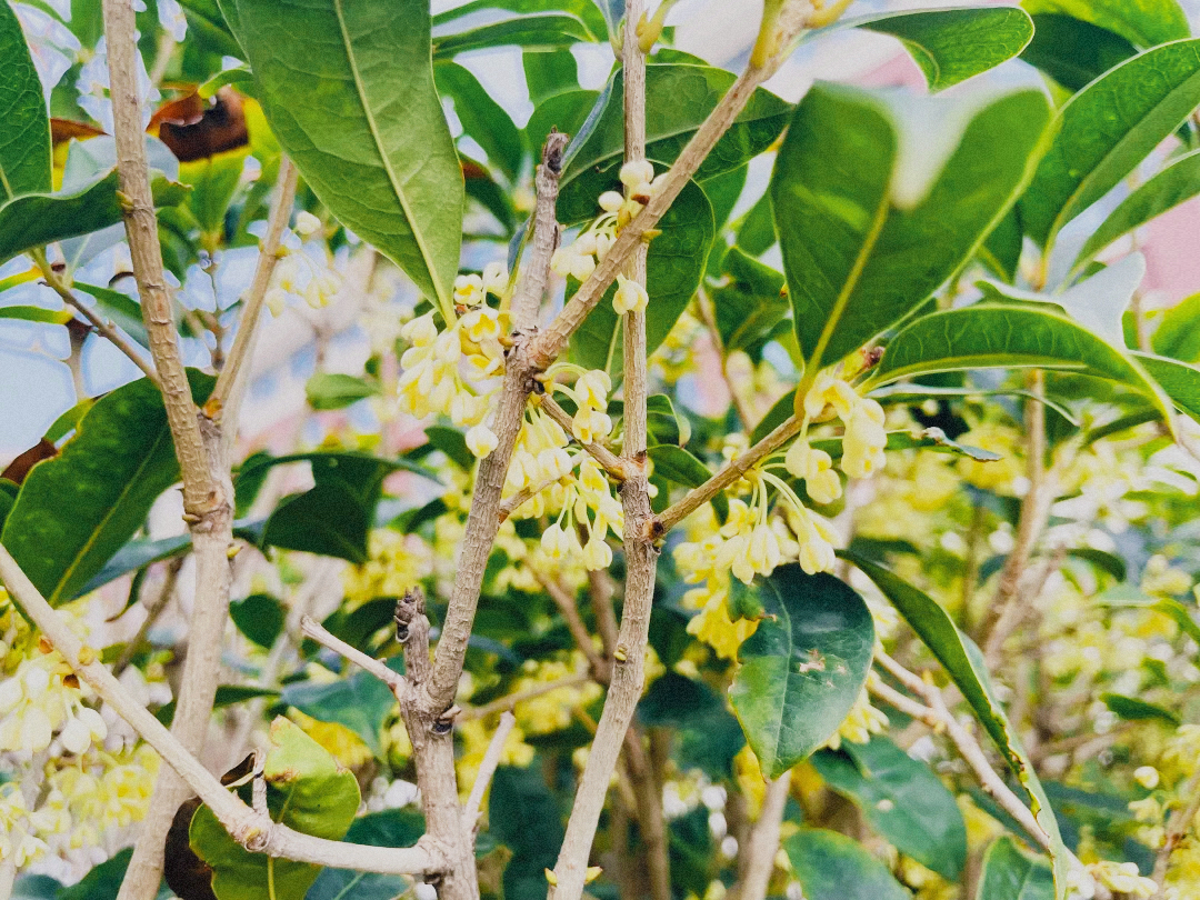 CC网投·(中国游)官方网站